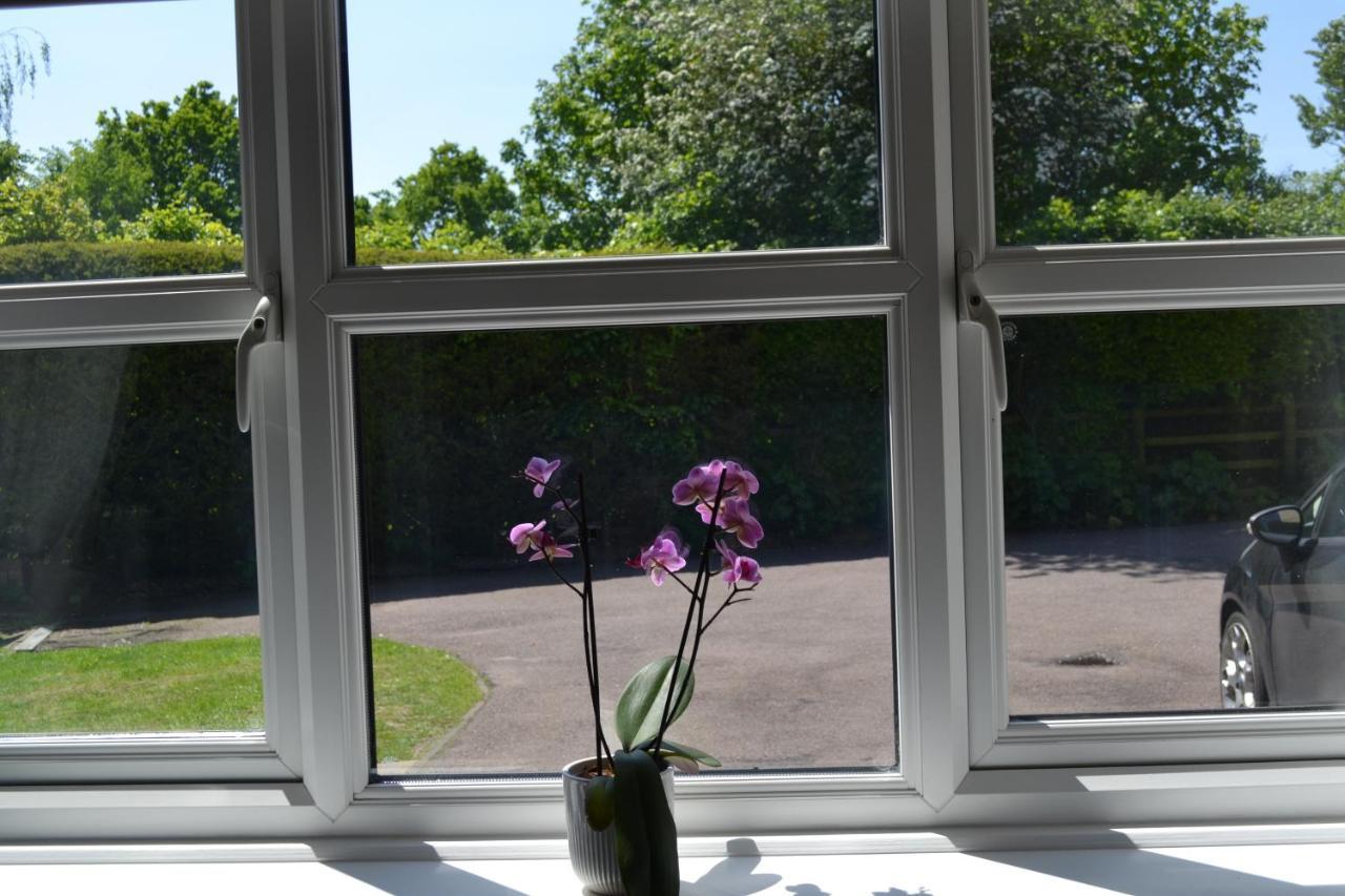 Beautiful Studio In Ely Eksteriør billede